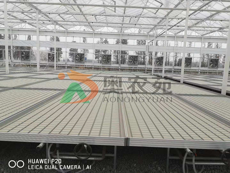 安徽現(xiàn)代綜合農(nóng)業(yè)示范園區(qū)荷蘭新型智能溫室項(xiàng)目