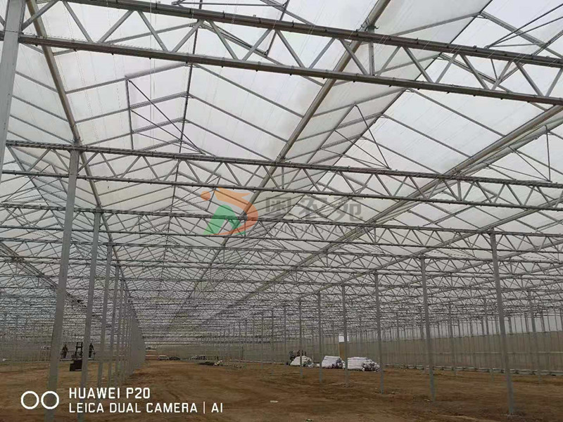 甘肅高新農(nóng)業(yè)示范園區(qū)新型智能荷蘭溫室項(xiàng)目30000㎡