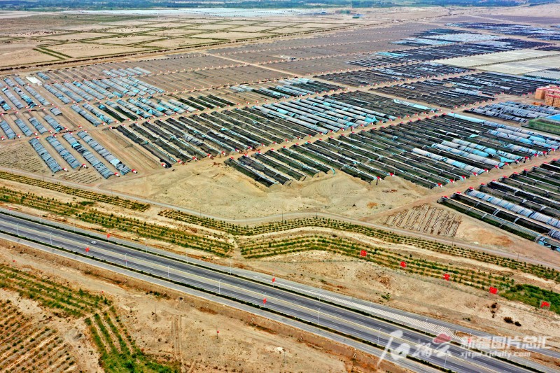 莎車縣戈壁產(chǎn)業(yè)園里，3000座溫室大棚成為荒灘上最具活力的地方。天山網(wǎng)-新疆日?qǐng)?bào)記者 蔡增樂(lè) 攝